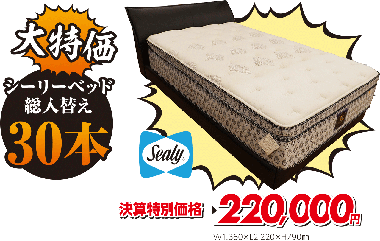 セミダブルベッド（マットレス付き）